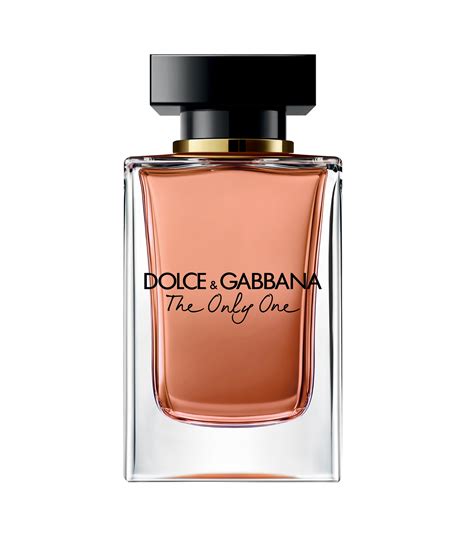 dolce gabbana mujer